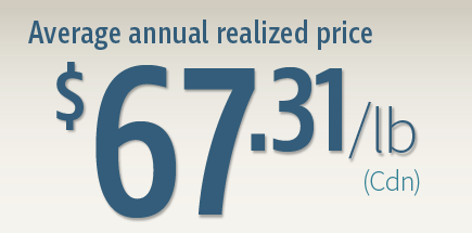 Average annual realized price infographic