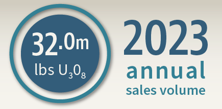 Annual Sales Volume Infographic