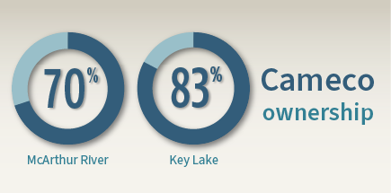 Cameco ownership infographic