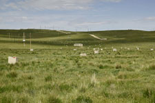 An image of the Smith Ranch-Highland and Crow Butte in situ fields