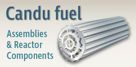 candu fuel assemblies & reactor components infographic