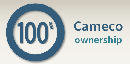 100% ownership graphic