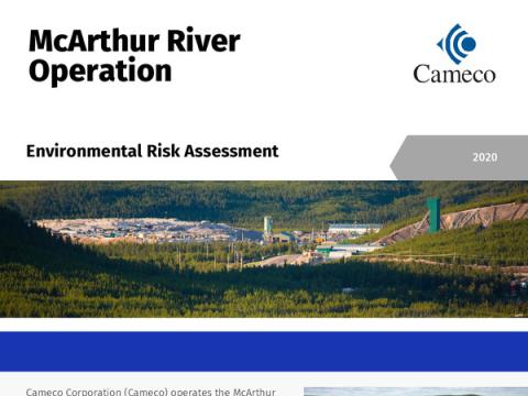 McArthur River Environmental Risk Assessment cover